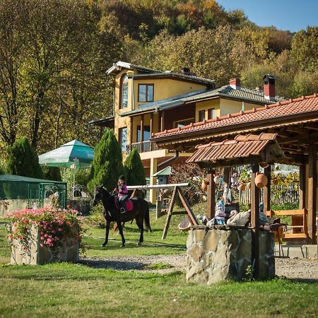 Guest House Alfa Daniel Balkanets  Bagian luar foto