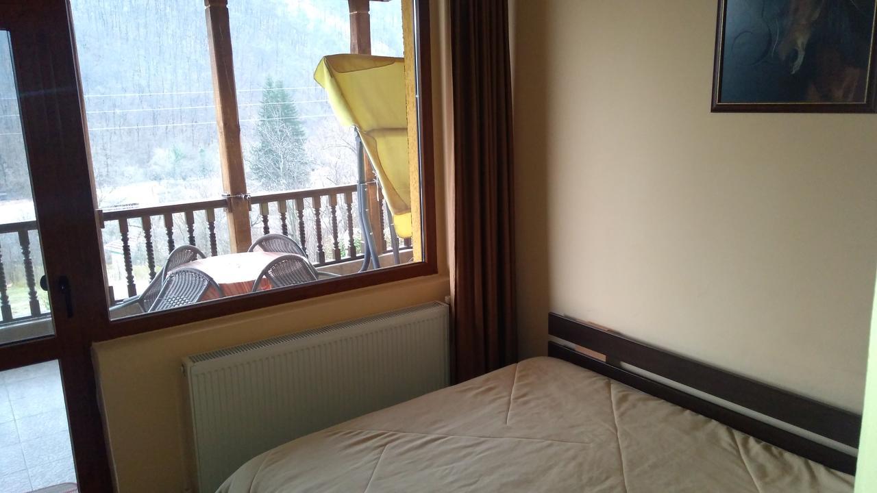 Guest House Alfa Daniel Balkanets  Bagian luar foto