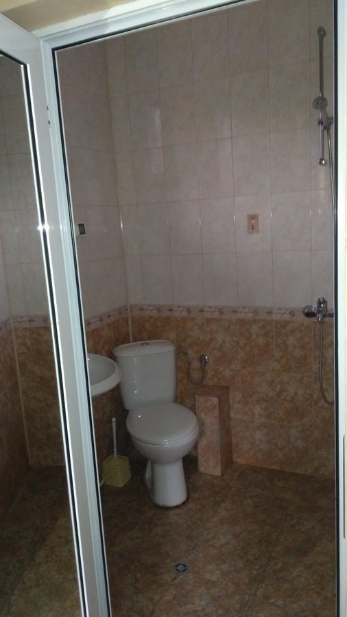 Guest House Alfa Daniel Balkanets  Bagian luar foto
