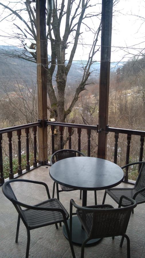 Guest House Alfa Daniel Balkanets  Bagian luar foto