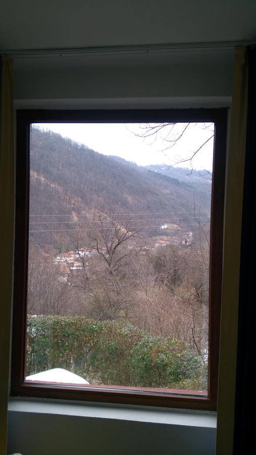 Guest House Alfa Daniel Balkanets  Bagian luar foto
