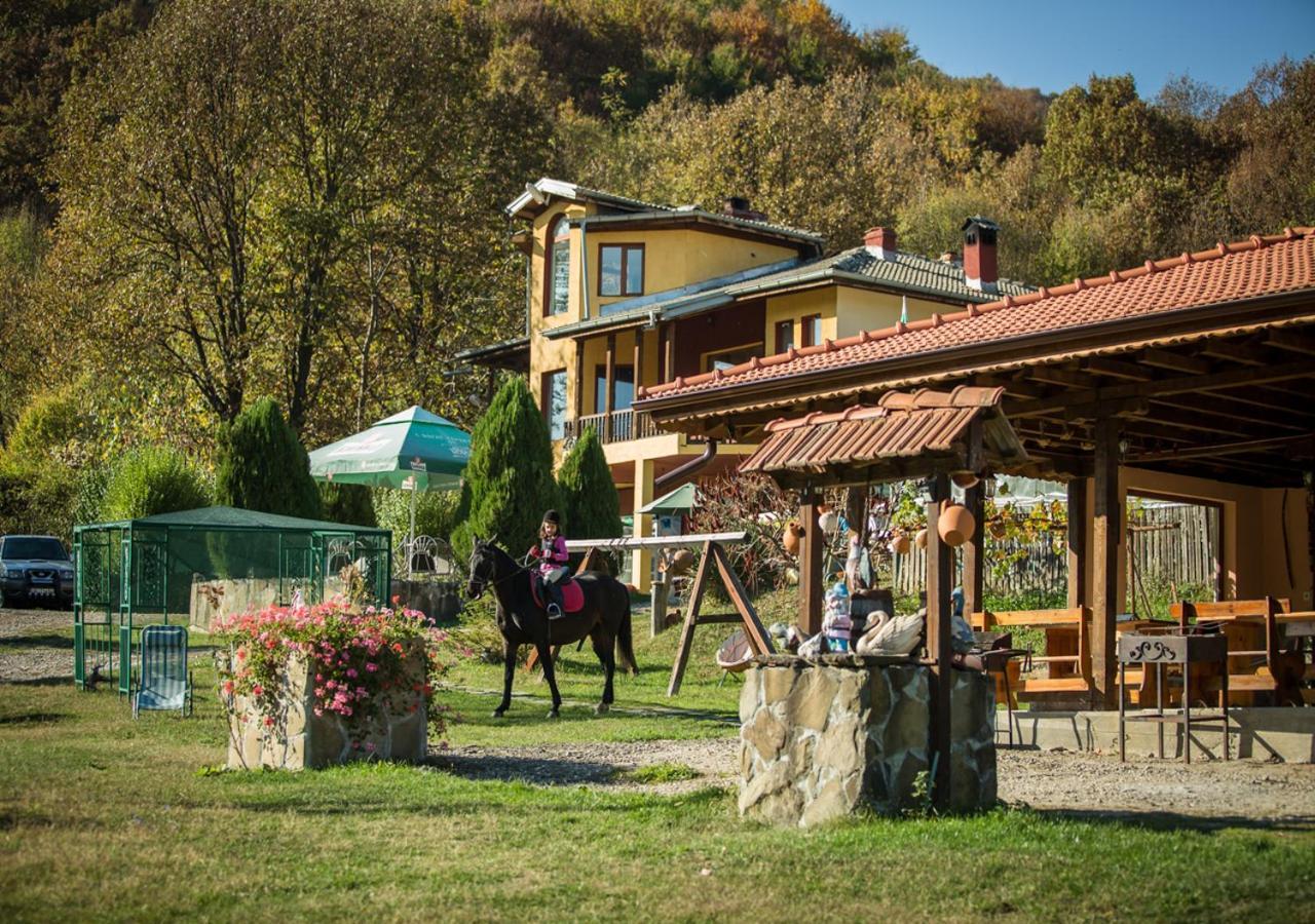 Guest House Alfa Daniel Balkanets  Bagian luar foto